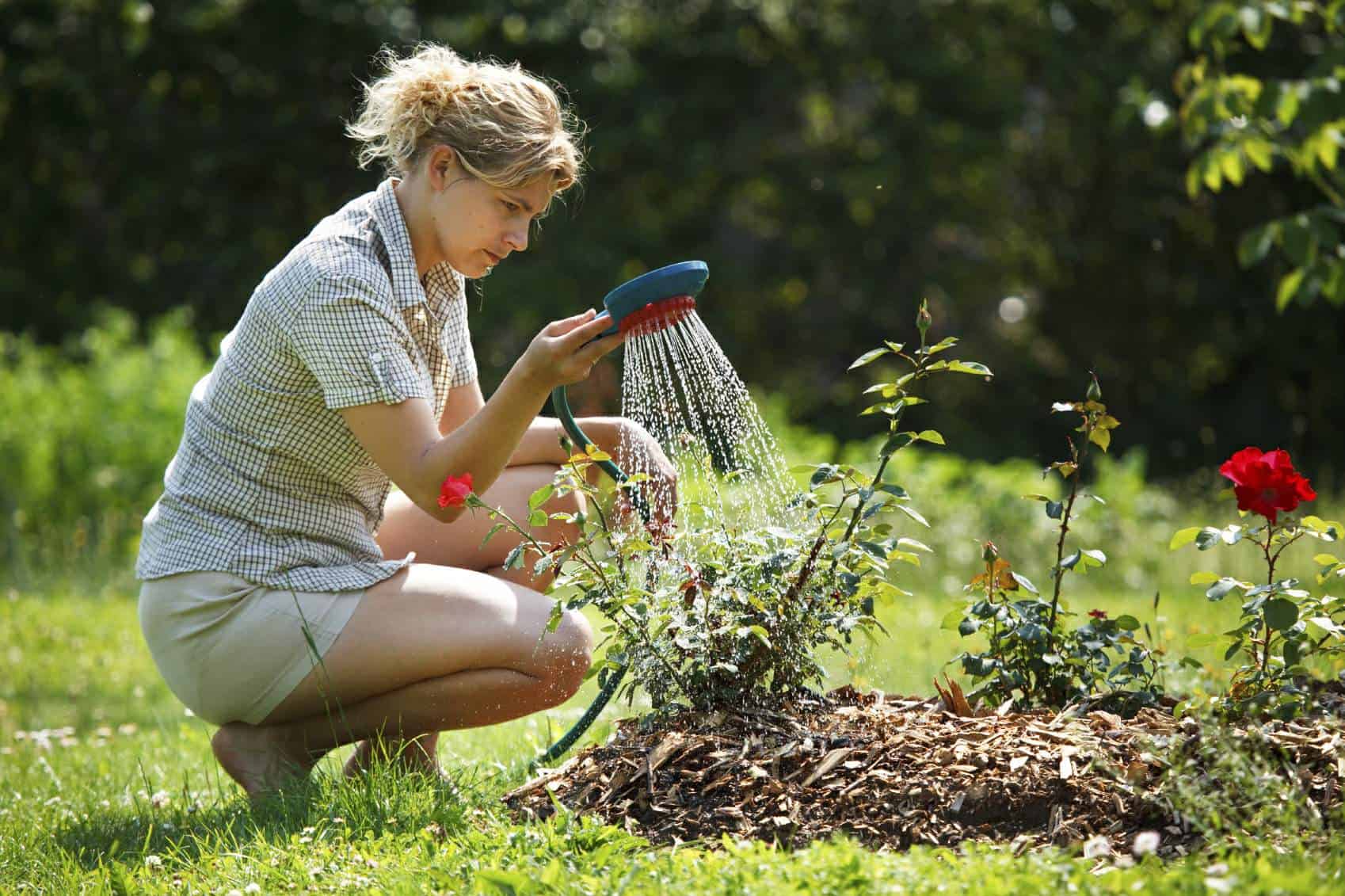 watering-tips-for-perfect-plantsideas-for-garden-backyard-and-space